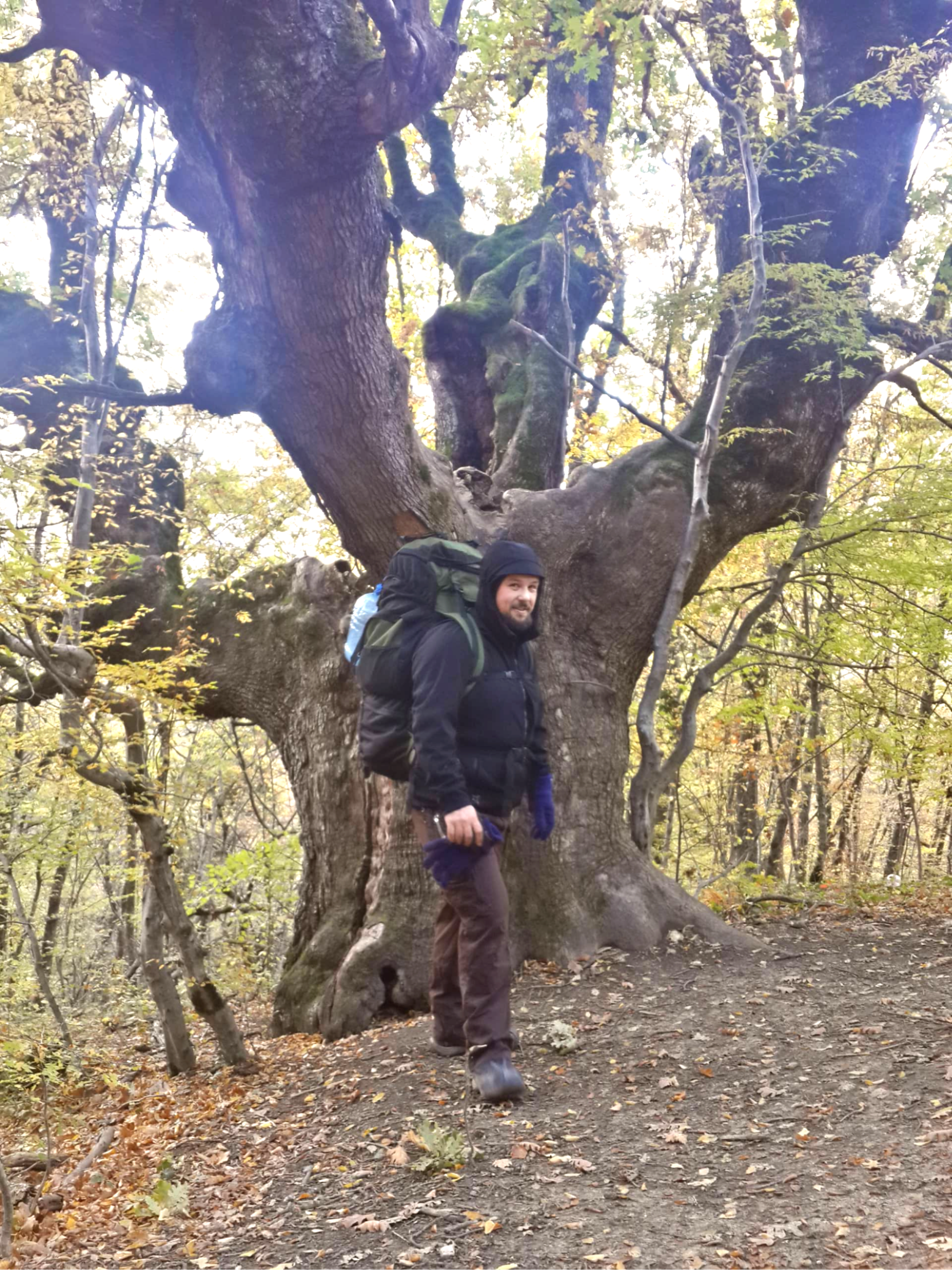 Берлинский Игорь Михайлович